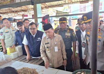 Jelang Idul Fitri, Danrem 042/Gapu, Gubernur Jambi Bersama Kapolda jambi Sidak Pasar Angso Duo.