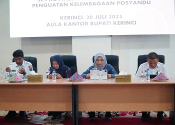Sinergi Provinsi dan Kabupaten, Kelembagaan Posyandu Diperkuat untuk Inovasi Layanan Lebih Baik